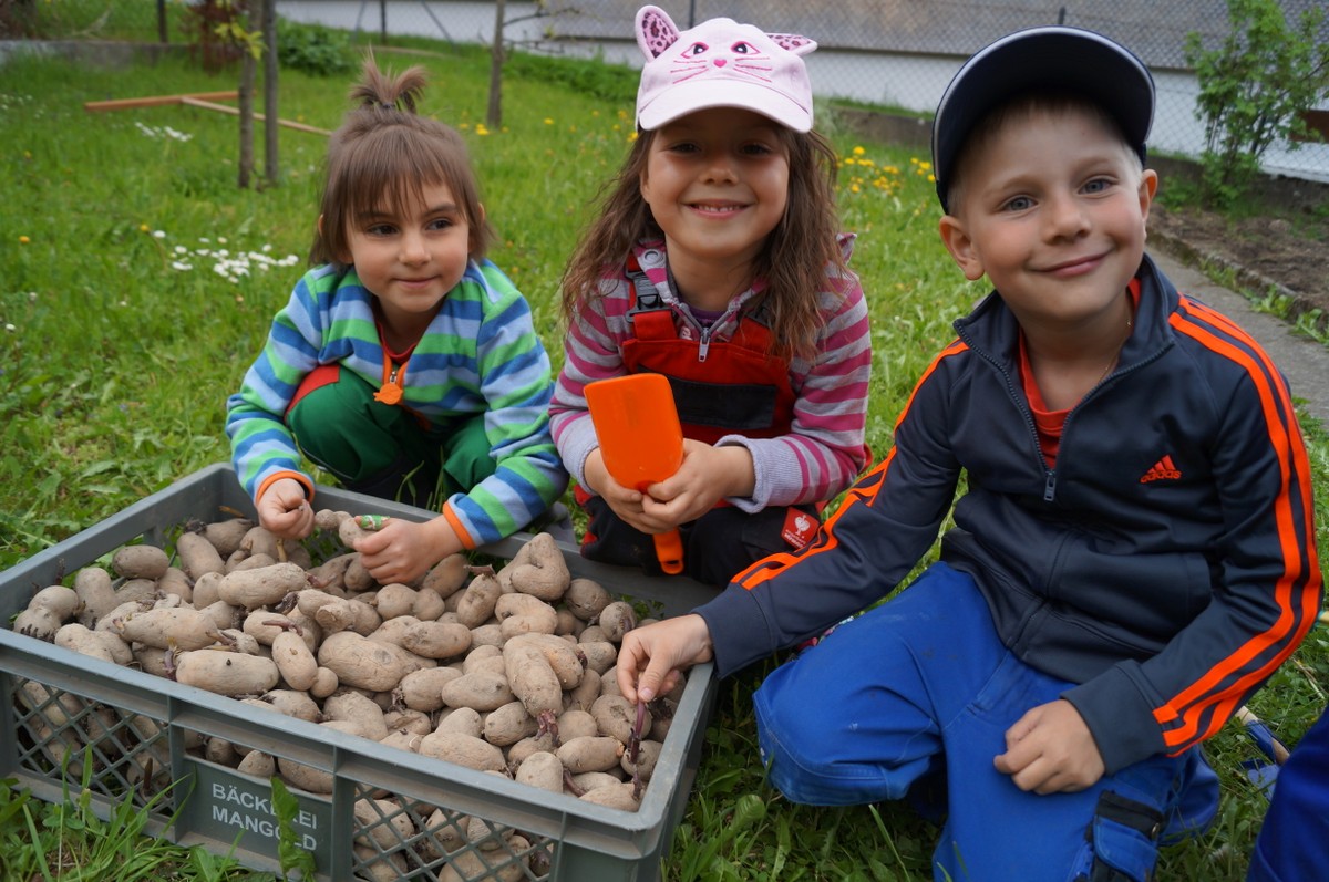 Gemeinsam mit Aaron Nenning vom Obst- und Gartenbauverein Übersaxen haben wir in unserem "Kinder-Garten" Kartoffeln gesetzt.