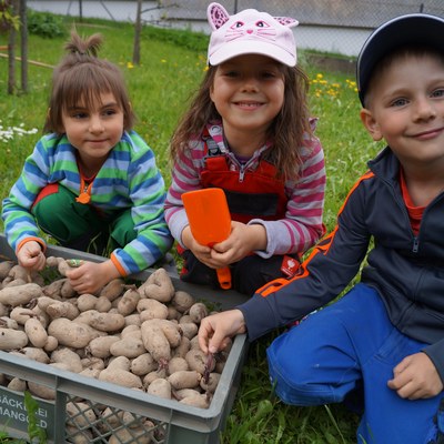 Kartoffeln setzen im "Kinder-Garten"