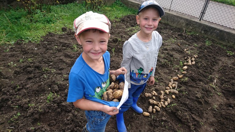 Die Eulenkinder freuten sich sehr über die reichliche Kartoffelernte